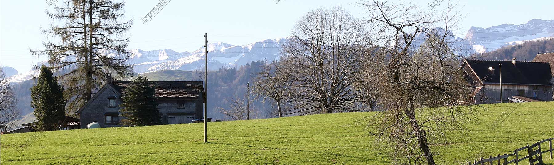 Stein Appenzell Ausserrhoden Stein